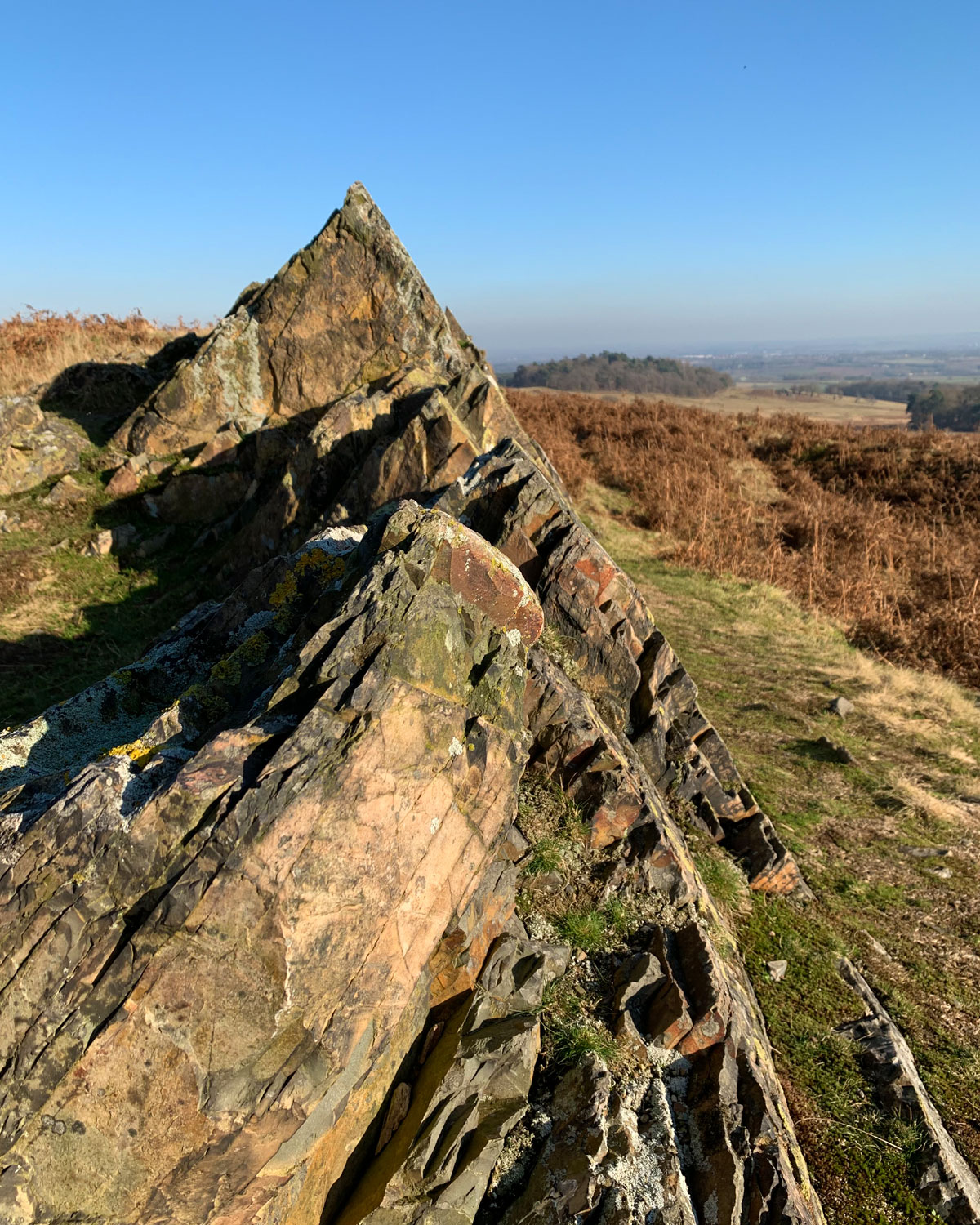 Exploration Bradgate Park GJeynes